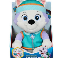 Paw Patrol - Everest Bedtime Plush - on clearance
